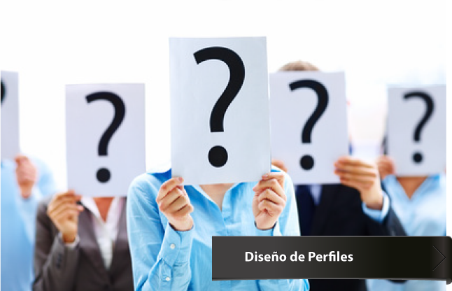 Dise&ntilde;o de Perfiles