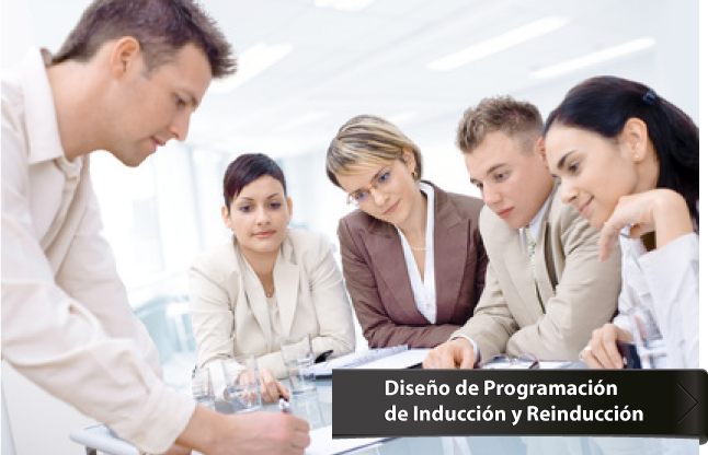 Dise&ntilde;o de Programaci&oacute;n de inducci&oacute;n y reinducci&oacute;n