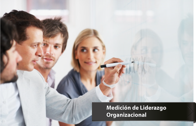 Medici&oacute;n de Liderazgo Organizacional