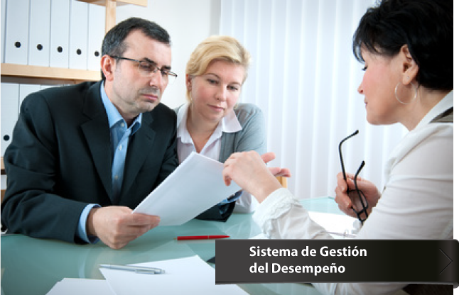 Sistema de Gesti&oacute;n del Desempe&ntilde;o